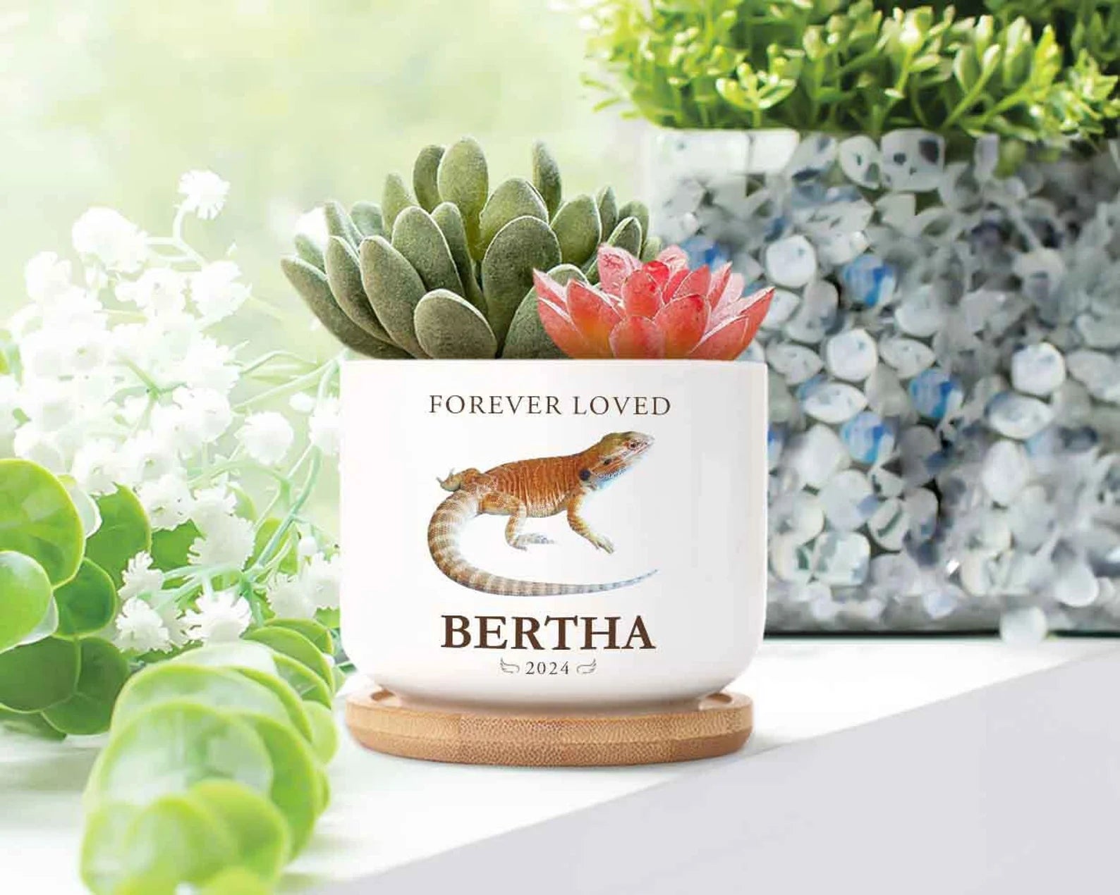 Personalized Lizard Memorial Plant Pot, Custom Pet Photo Plant Pot, Iguana Memorial Gift, Loss of Pet Gift, Pet Sympathy Gift, Lizard Gift. MGBILUMIE6