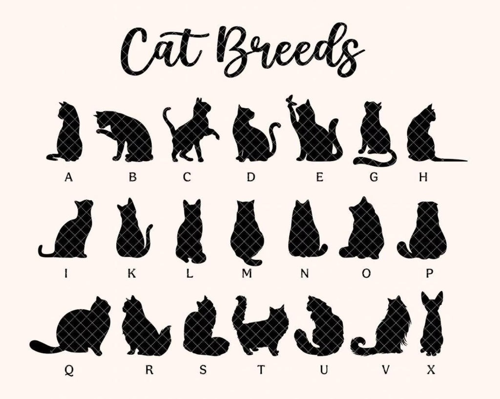 Custom Cat Loss Suncatcher, Custom Pet Memorial Gift, Pet Loss Sympathy Gift, Cat Lover Gift, Pet Remembrance Gift, Window Hanging. SCCBILUMMIE3