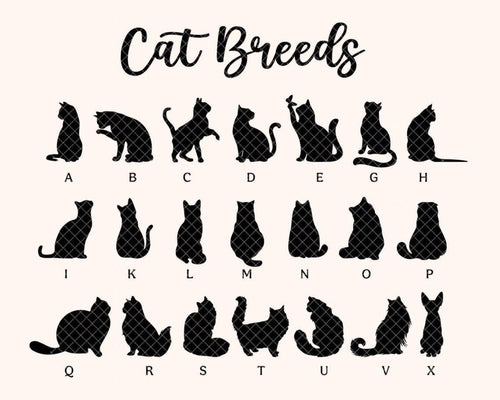 Custom Cat Loss Suncatcher, Custom Pet Memorial Gift, Pet Loss Sympathy Gift, Cat Lover Gift, Pet Remembrance Gift, Window Hanging. SCCBILUMMIE3