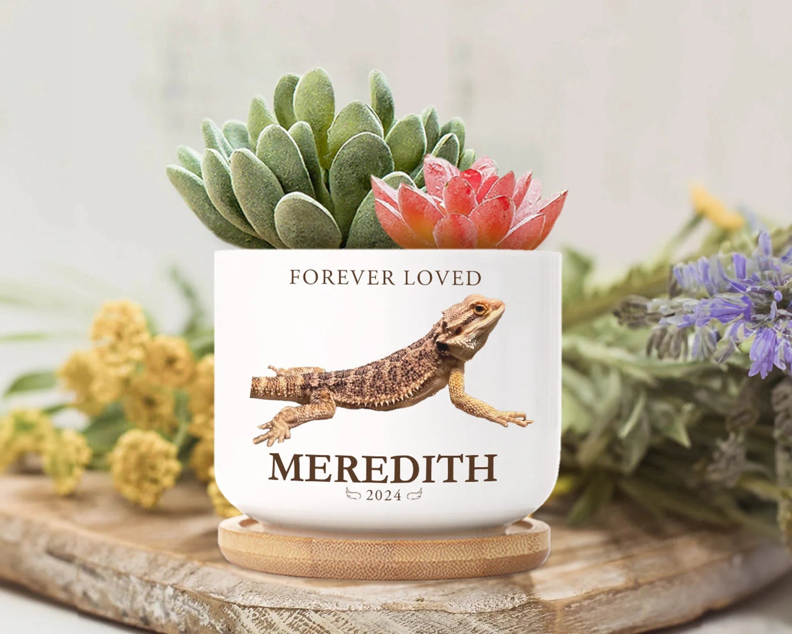 Personalized Lizard Memorial Plant Pot, Custom Pet Photo Plant Pot, Iguana Memorial Gift, Loss of Pet Gift, Pet Sympathy Gift, Lizard Gift. MGBILUMIE6