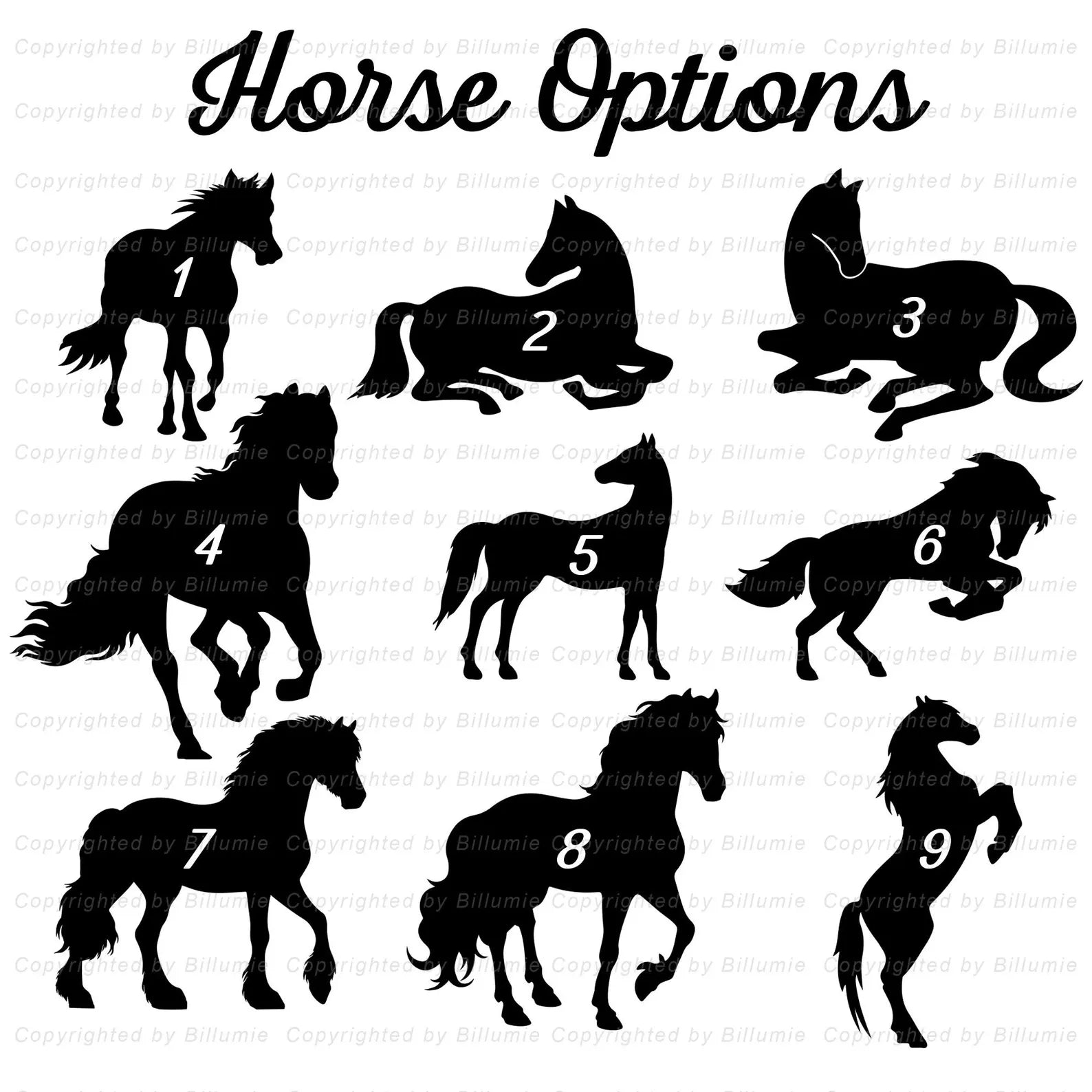 Personalized Horse Memorial Suncatcher, Pet Memorial Gift, Horse Window Hangings, Horse Loss Gift, Horse Lover Gift, Animal Suncatcher. SCCBILUMMIE18