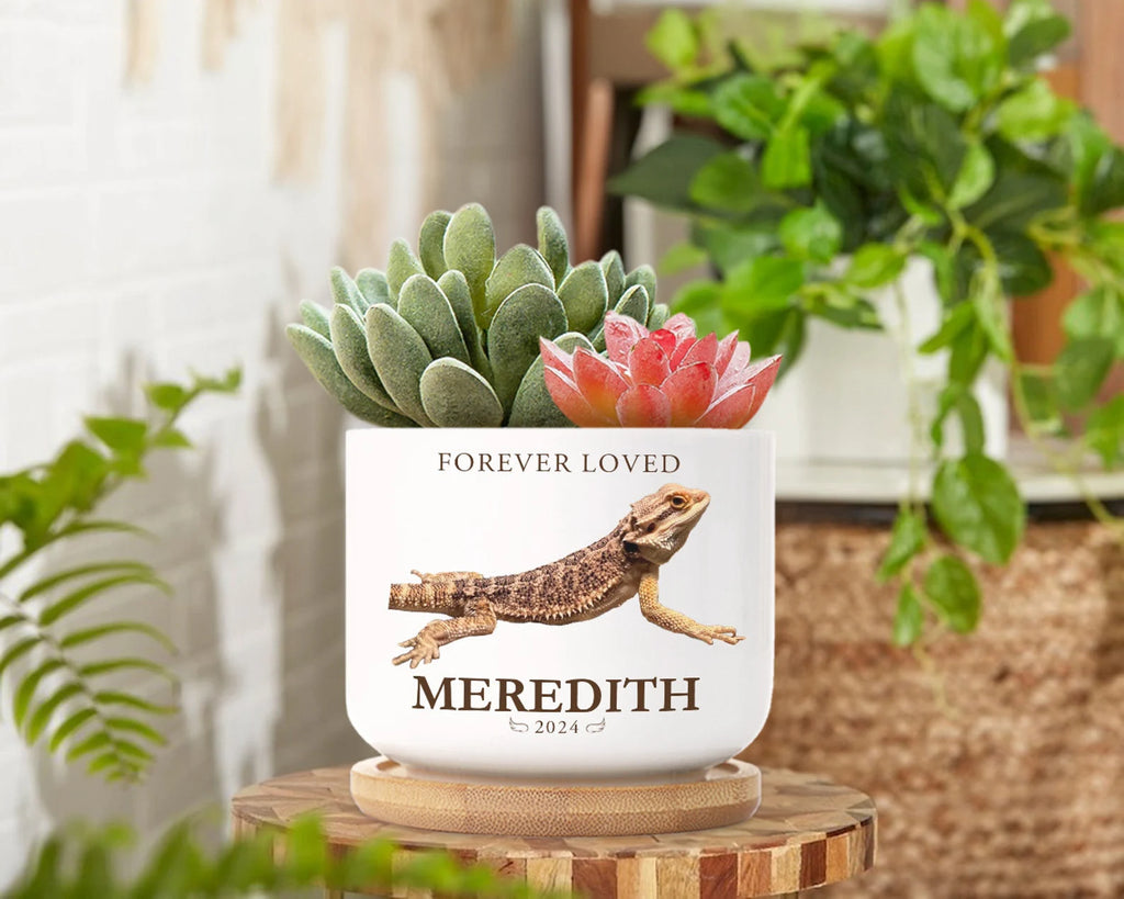 Personalized Lizard Memorial Plant Pot, Custom Pet Photo Plant Pot, Iguana Memorial Gift, Loss of Pet Gift, Pet Sympathy Gift, Lizard Gift. MGBILUMIE6