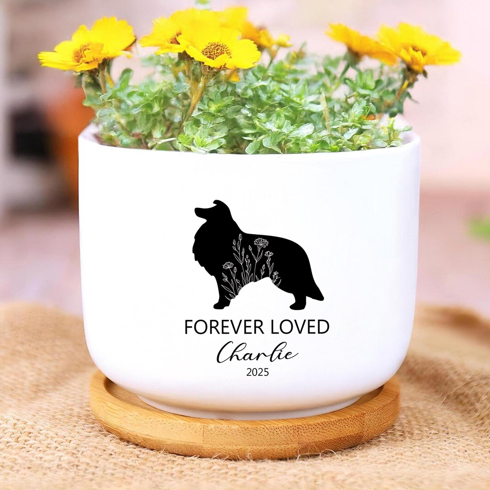 Custom Dog Memorial Planter, Custom Dog Plant Pot, Dog Memorial Gift, Loss of Dog Sympathy Gift, Pet Loss Gift, Pet Memorial Gift. MGBILUMIE5