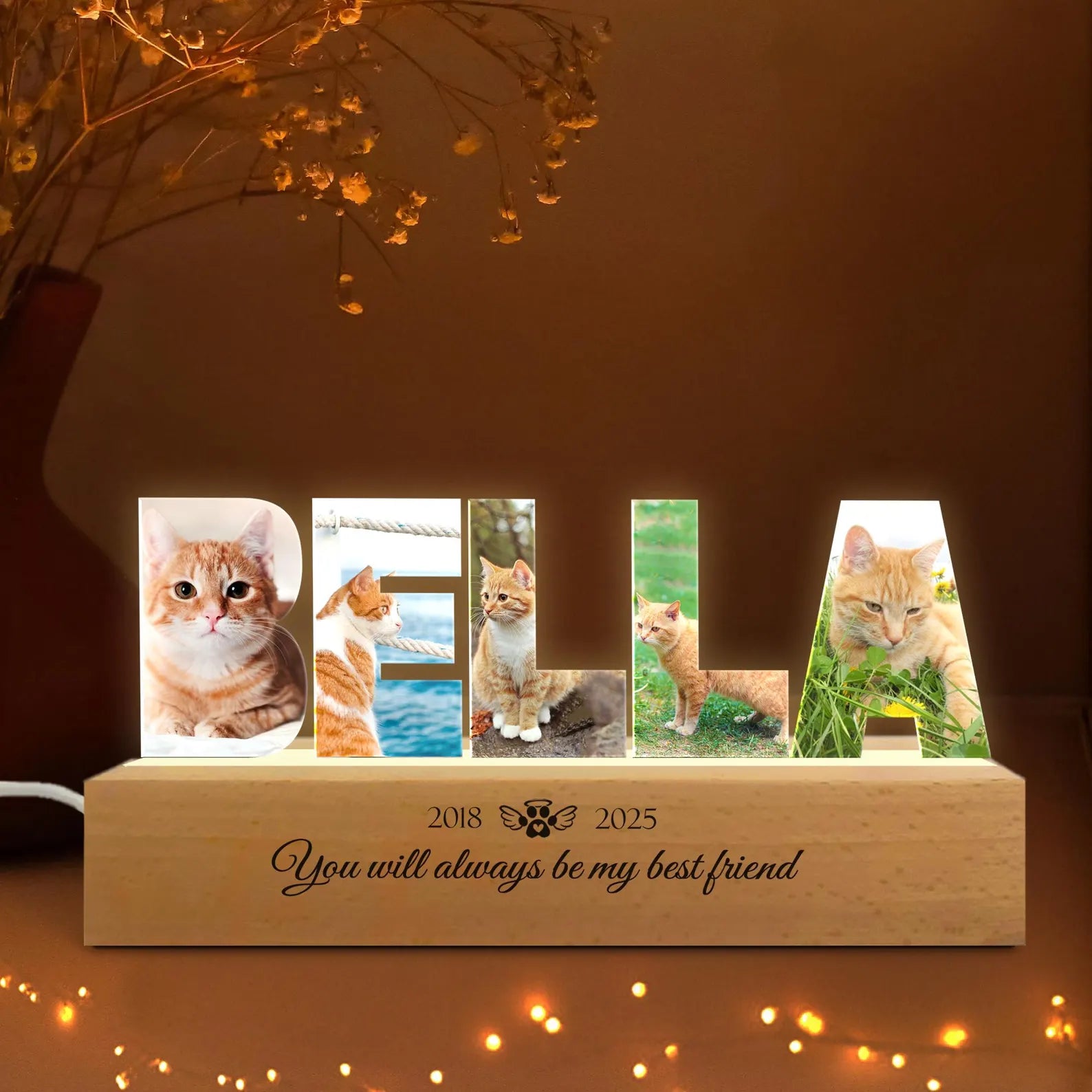 Custom Cat Memorial Night Light, Custom Pet Photo Collage Night Light, Pet Memorial Gift, Loss Of Cat Sympathy Gift, Cat Loss Gift. MGBILUMIE7