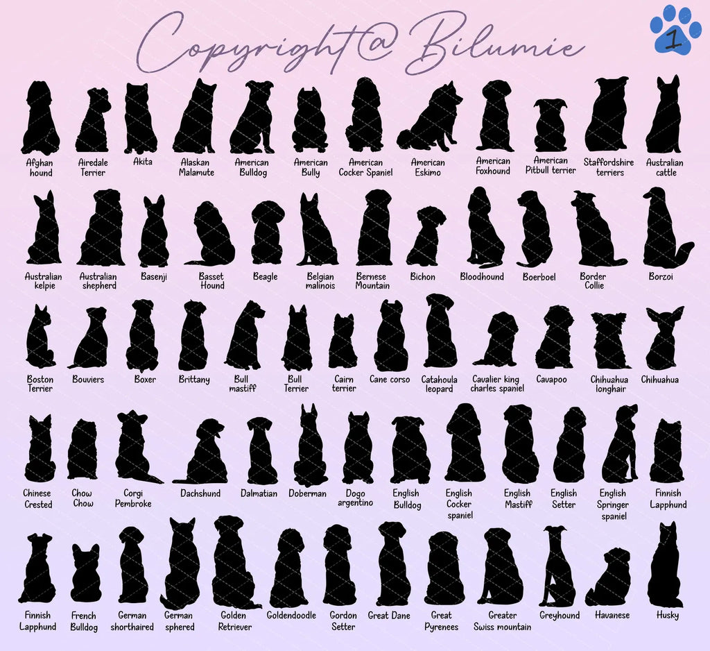 Custom Pets Memorial Suncatcher, Dog Rainbow Bridge Gift, Dog Loss Sympathy Gift, Pet Memorial Gift, Loss Of Pet Gift, Window Hangings. SCCBILUMMIE32