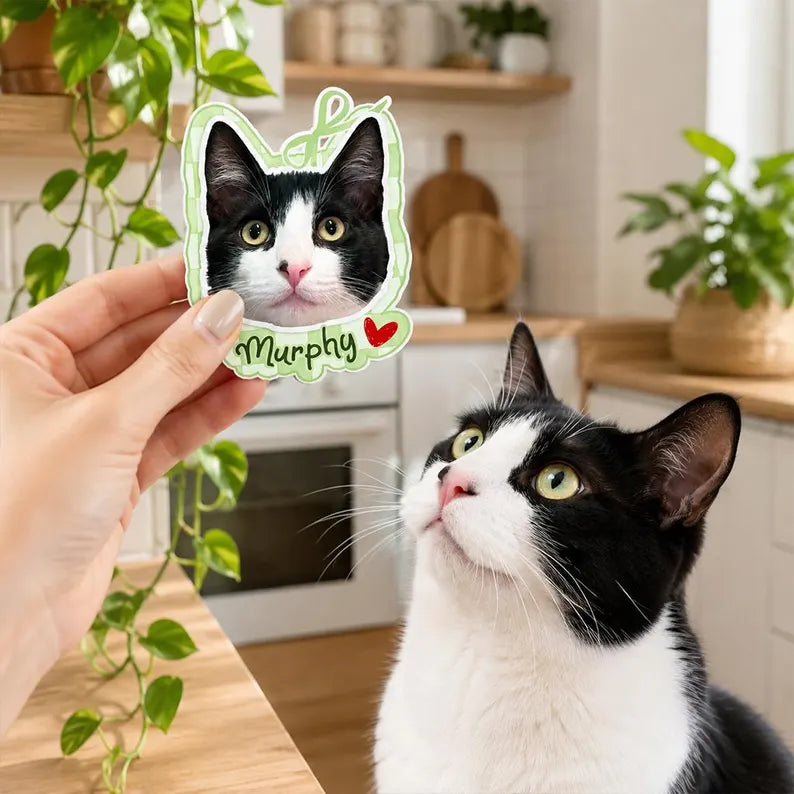 Custom Face Photo Fridge Magnet, Custom Pet Portrait Gift, Personalized Baby Face Magnet, Gift For Dad, Mom Birthday Gift, Grandma Gift. PMBILUMIE3
