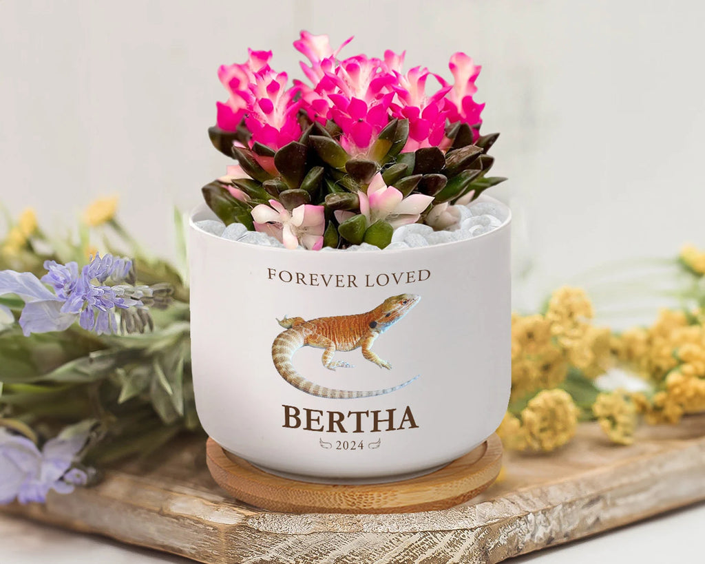 Personalized Lizard Memorial Plant Pot, Custom Pet Photo Plant Pot, Iguana Memorial Gift, Loss of Pet Gift, Pet Sympathy Gift, Lizard Gift. MGBILUMIE6
