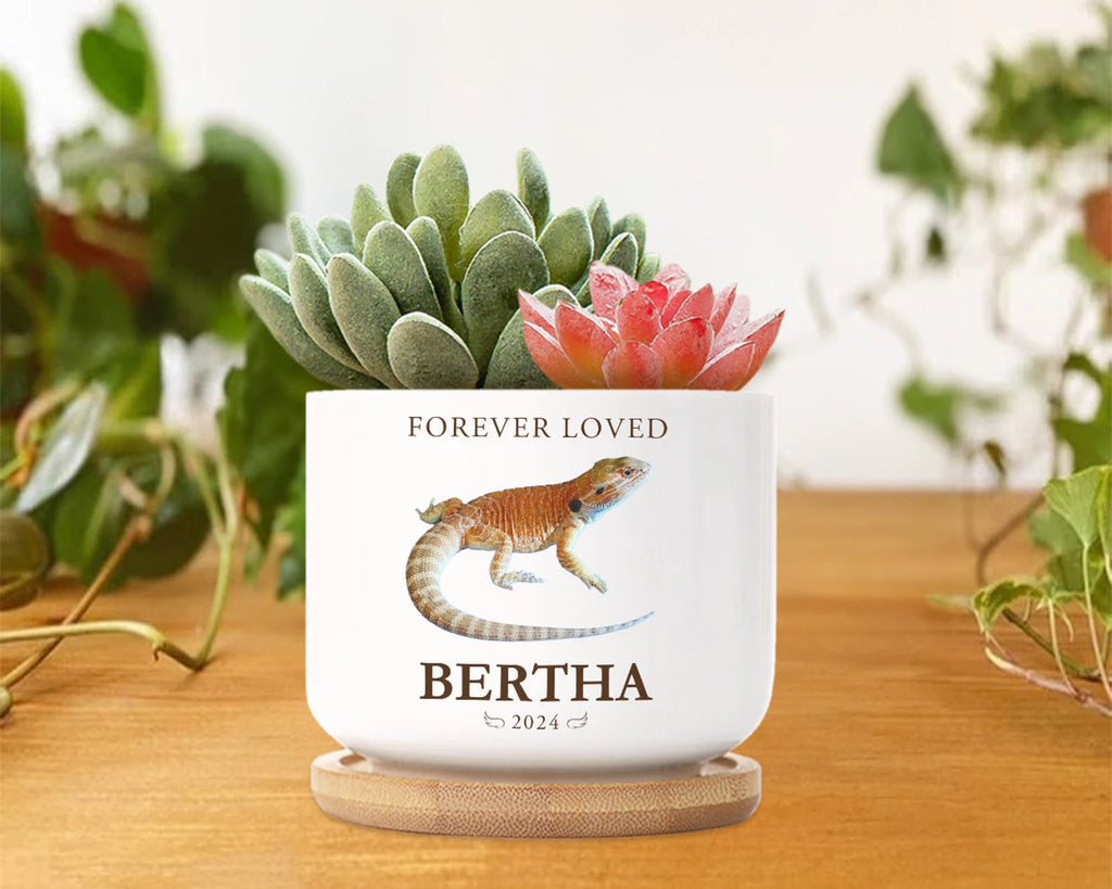 Personalized Lizard Memorial Plant Pot, Custom Pet Photo Plant Pot, Iguana Memorial Gift, Loss of Pet Gift, Pet Sympathy Gift, Lizard Gift. MGBILUMIE6