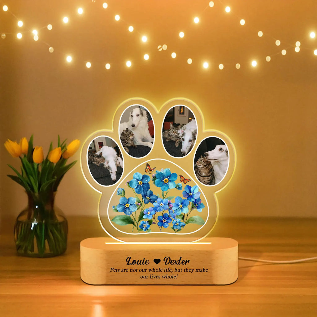 Custom Dog Memorial Photo Light, Pet Loss Sympathy Gift, Dog Memorial Gift, Loss of Cat Gift, Pet Memorial Gift, Pet Remembrance Gift. MGBILUMIE8