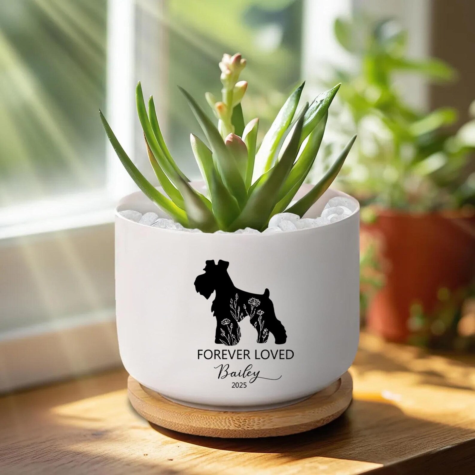 Custom Dog Memorial Planter, Custom Dog Plant Pot, Dog Memorial Gift, Loss of Dog Sympathy Gift, Pet Loss Gift, Pet Memorial Gift. MGBILUMIE5