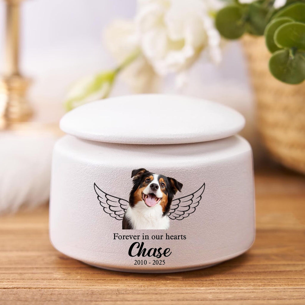 Personalized Pet Urn, Pet Memorial Gift, Urn For Dog, Pet Fur Memorial Keepsake, Pet Loss Gift, Dog Loss Sympathy Gift, Gift for Pet Lovers. MGBILUMIE4