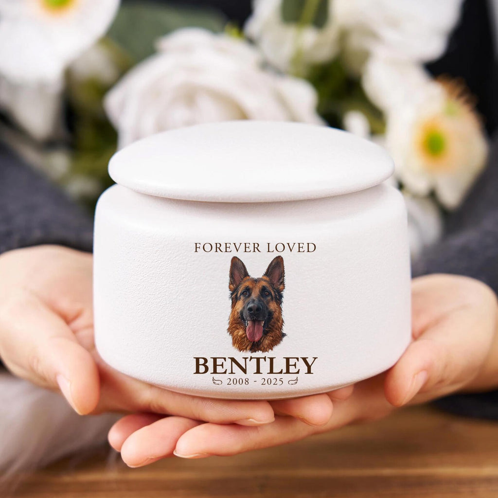 Custom Pet Urn With Photo, Pet Fur Memorial Keepsake, Pet Memorial Gift, Urn For Dog, Dog Loss Sympathy Gift, Gift for Pet Lovers. MGBILUMIE1