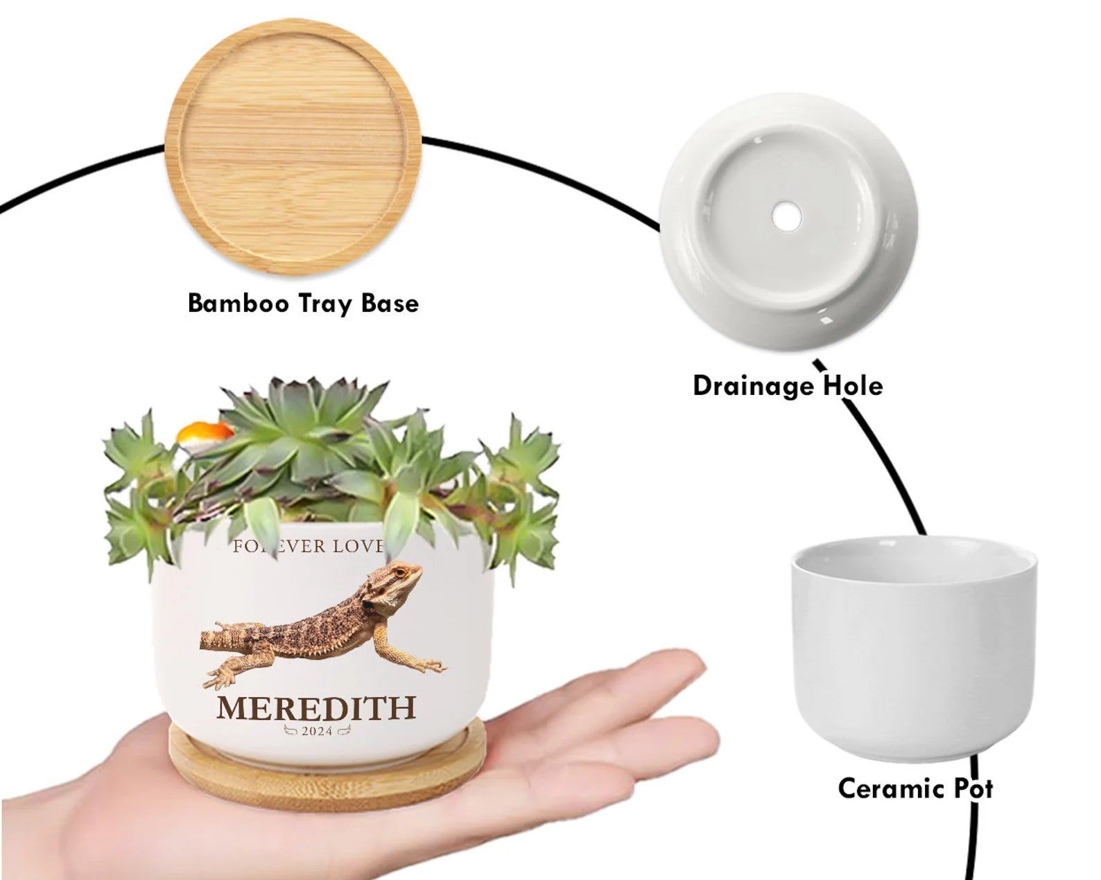 Personalized Lizard Memorial Plant Pot, Custom Pet Photo Plant Pot, Iguana Memorial Gift, Loss of Pet Gift, Pet Sympathy Gift, Lizard Gift. MGBILUMIE6
