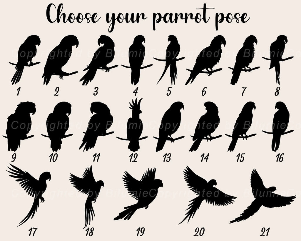 Personalized Parrot Memorial Suncatcher, Bird Memorial Gift, Cockatiel Gift, Loss Of Pet Sympathy Gift, Loss of Parrot Gift, Bird Lover Gift. SCCBILUMMIE38
