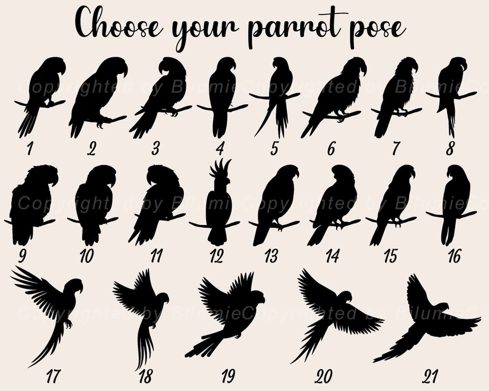 Personalized Parrot Memorial Suncatcher, Bird Memorial Gift, Cockatiel Gift, Loss Of Pet Sympathy Gift, Loss of Parrot Gift, Bird Lover Gift. SCCBILUMMIE38