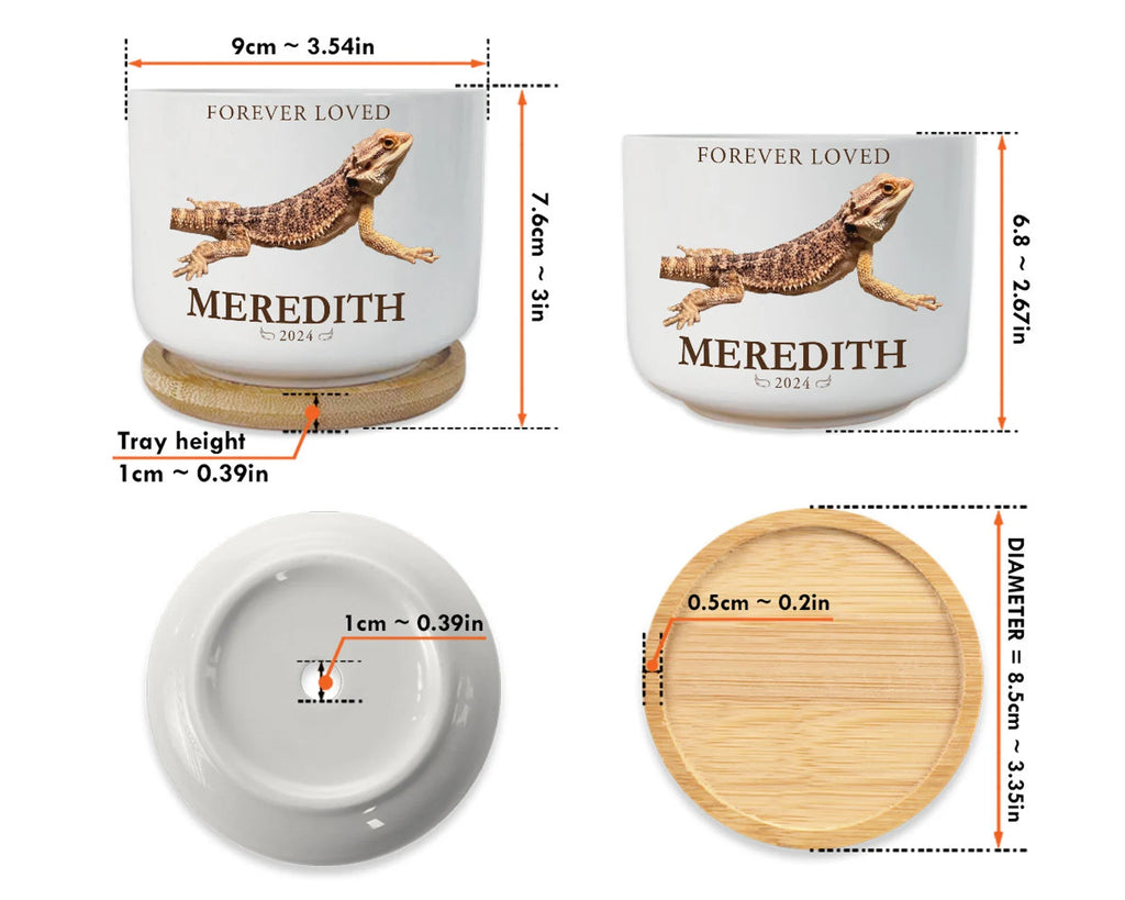 Personalized Lizard Memorial Plant Pot, Custom Pet Photo Plant Pot, Iguana Memorial Gift, Loss of Pet Gift, Pet Sympathy Gift, Lizard Gift. MGBILUMIE6