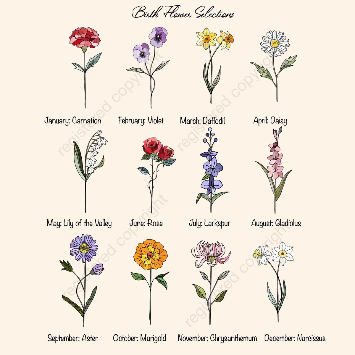 May include: An illustration of twelve birth flowers, each representing a month of the year. The flowers include carnation, violet, daffodil, daisy, lily of the valley, rose, larkspur, gladiolus, aster, marigold, chrysanthemum, and narcissus.