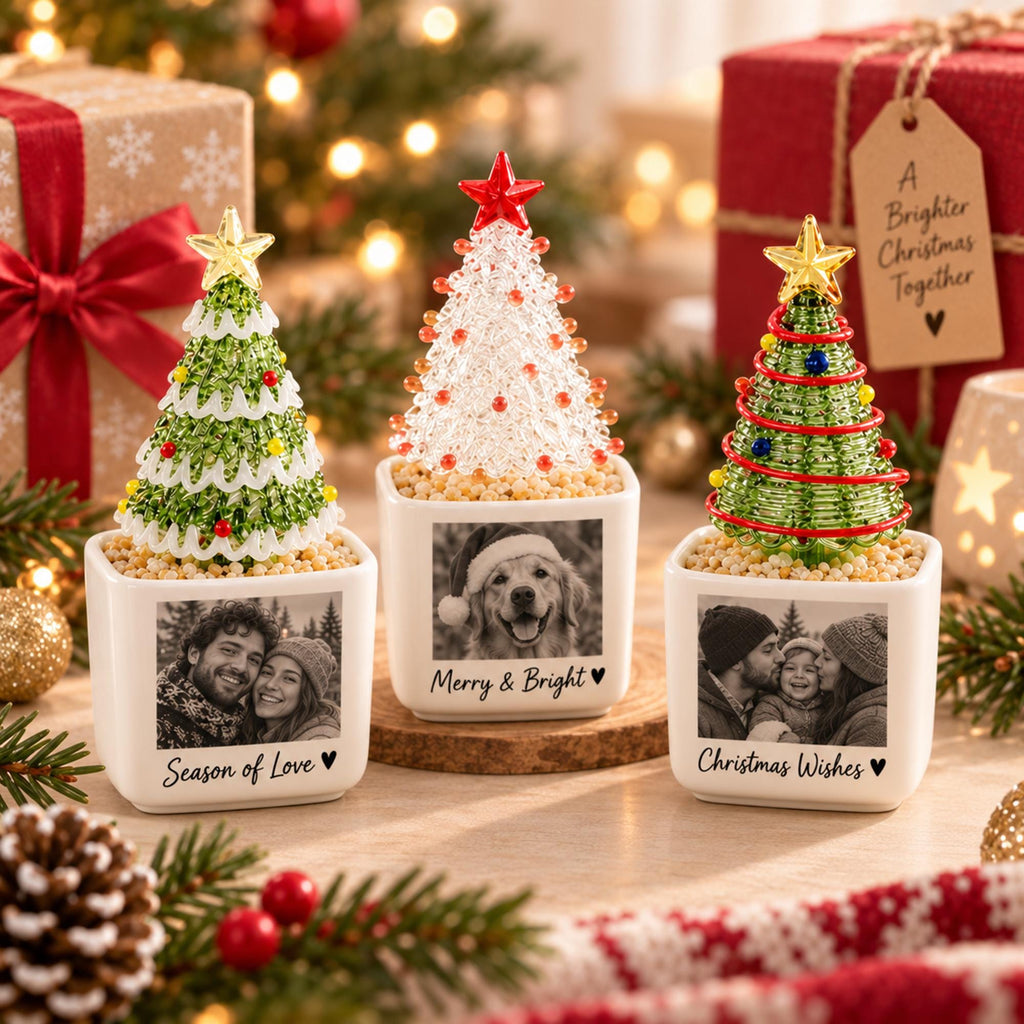 May include: Three square white ceramic planters containing miniature Christmas trees. The left tree is green with white trim and red and yellow beads. The center tree is clear with red beads. The right tree is green with red wire and beads. Each planter features a black and white photo and text.