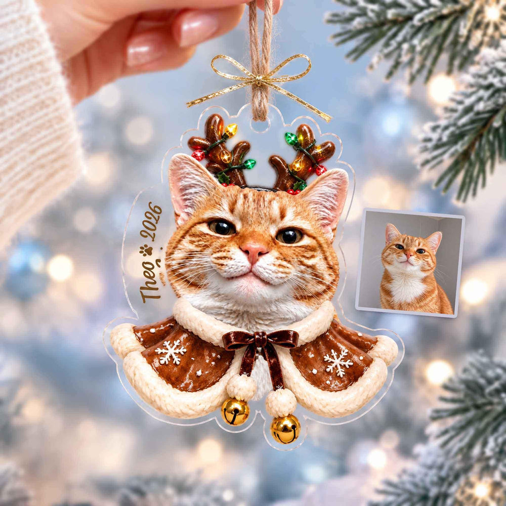 May include: A clear acrylic Christmas ornament featuring a printed orange tabby cat wearing reindeer antlers with colorful lights and a brown cape with white trim and snowflakes. The text Theo 2026 is printed on the side with a small paw print.