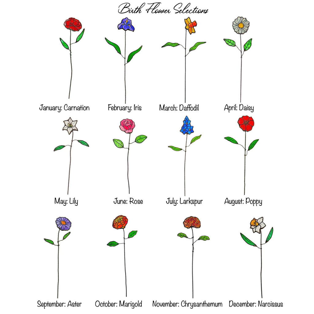May include: A chart titled Birth Flower Selections displaying twelve individual flower illustrations on thin stems with green leaves. Each flower is labeled by month: January Carnation, February Iris, March Daffodil, April Daisy, May Lily, June Rose, July Larkspur, August Poppy, September Aster, October Marigold, November Chrysanthemum, and December Narcissus.