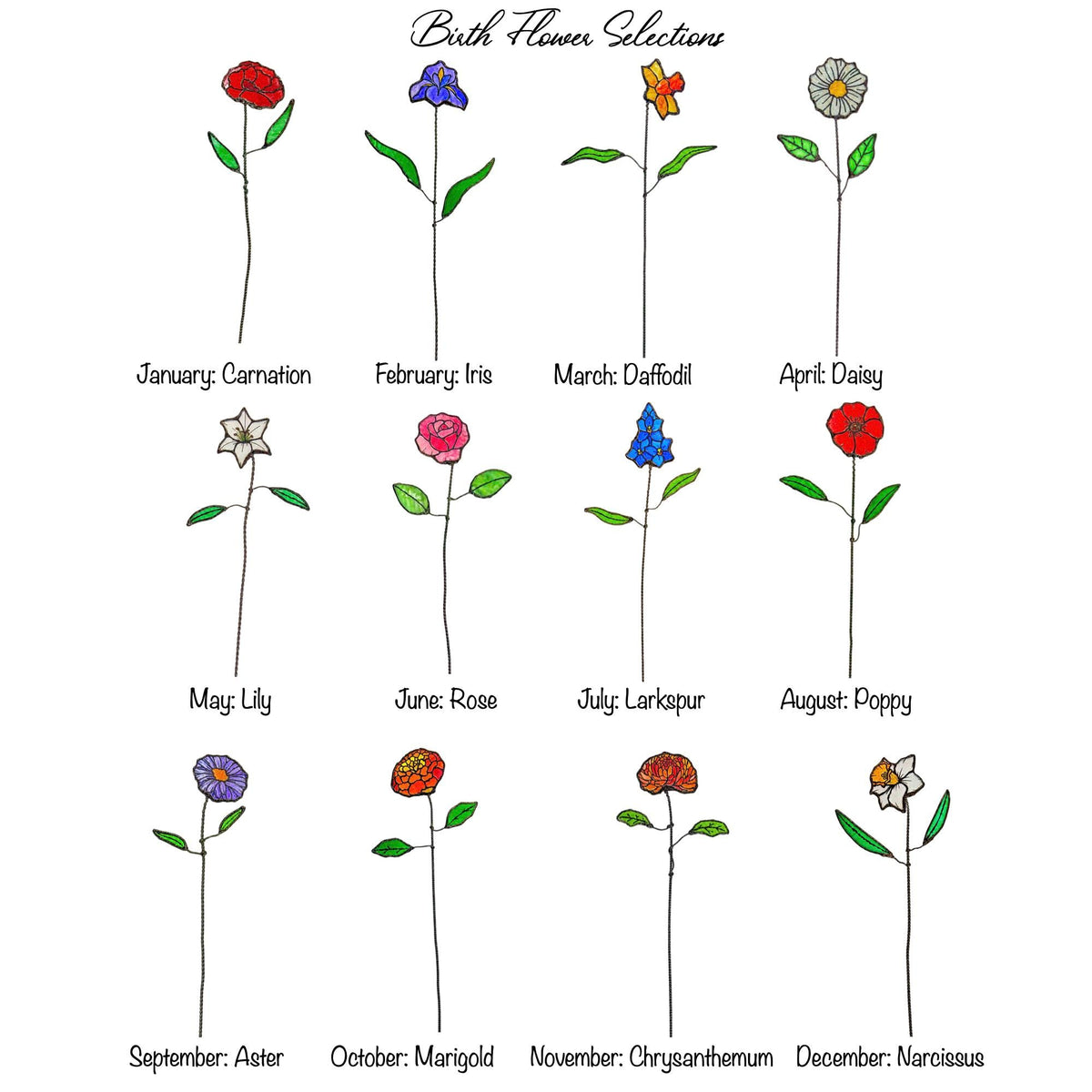 May include: A chart titled Birth Flower Selections displaying twelve individual flower illustrations on thin stems with green leaves. Each flower is labeled by month: January Carnation, February Iris, March Daffodil, April Daisy, May Lily, June Rose, July Larkspur, August Poppy, September Aster, October Marigold, November Chrysanthemum, and December Narcissus.
