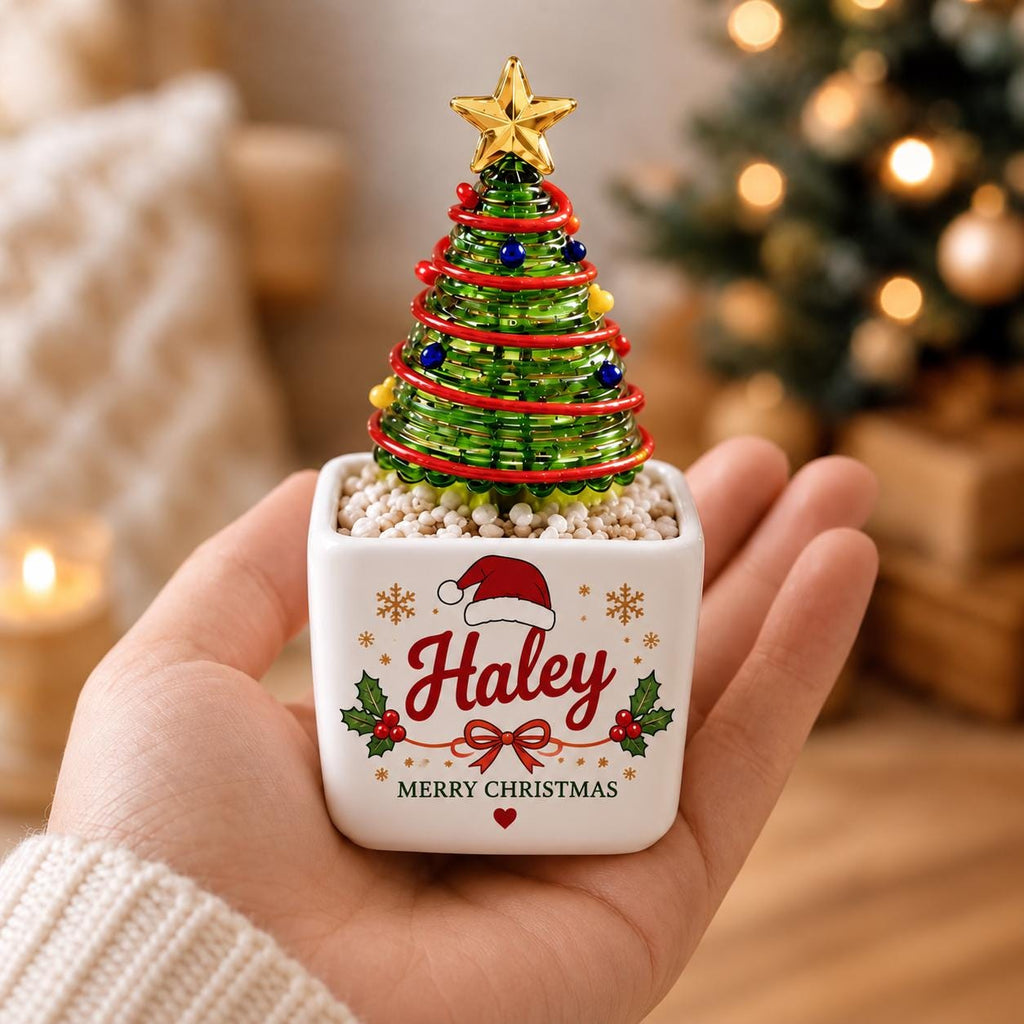 May include: A small decorative Christmas tree made of green wire coils with red and blue beads, topped with a gold star. It sits in a white square ceramic planter filled with white pebbles, featuring the name Haley and Merry Christmas text.