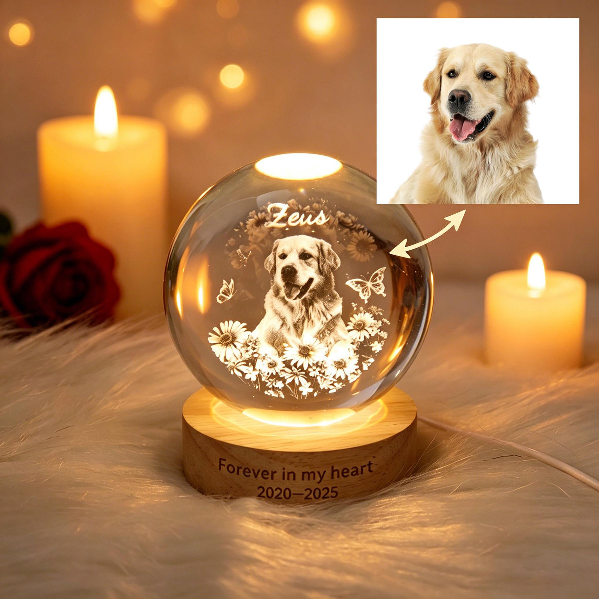 May include: A clear crystal ball with a photo of a golden retriever dog, daisies, and butterflies, illuminated by a warm light. The base is wood, and the text "Forever in my heart 2020-2025" is engraved on the base. A lit candle and a red rose are in the background.
