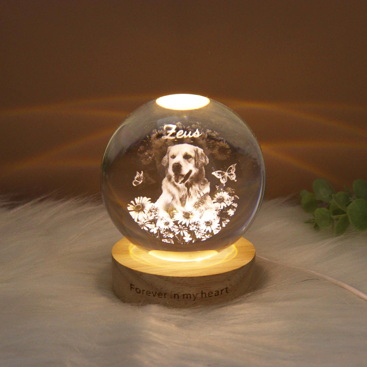 May include: A clear glass sphere with a dog portrait, butterflies, and flowers, illuminated by a warm light. The sphere sits on a wooden base with the text "Forever in my heart". The dog's name, "Zeus", is etched on the sphere.